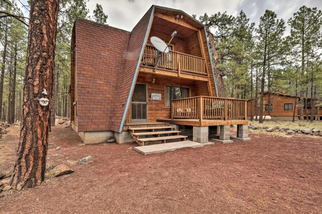 Cozy Cabin By Grand Canyon, Near National Forest 윌리엄스 외부 사진