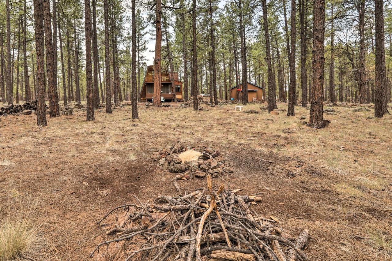 Cozy Cabin By Grand Canyon, Near National Forest 윌리엄스 외부 사진