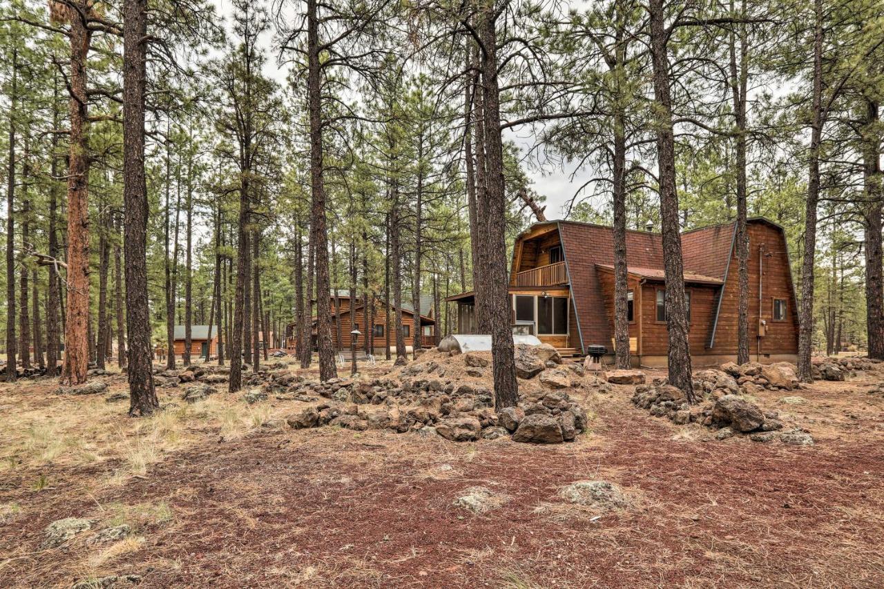 Cozy Cabin By Grand Canyon, Near National Forest 윌리엄스 외부 사진